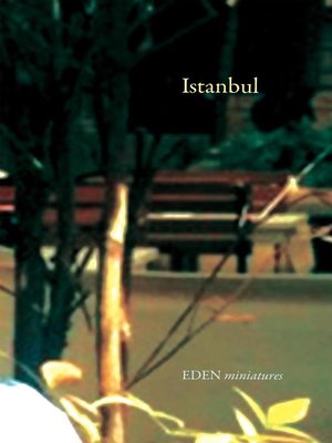 cover image of Istanbul